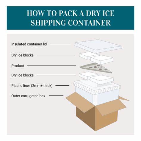 How to store dry ice