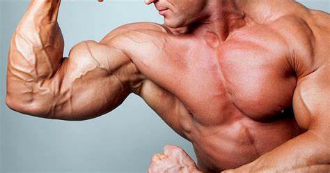 how to stretch biceps
